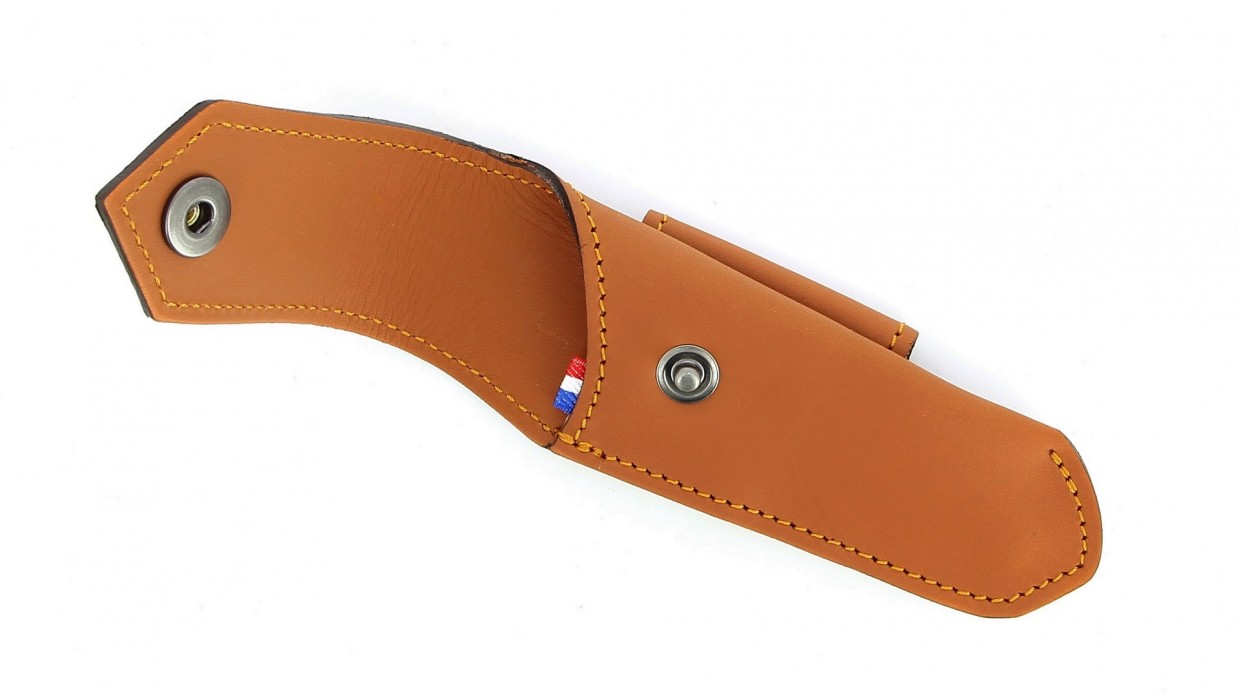 Etui doublé cuir  - Gold
