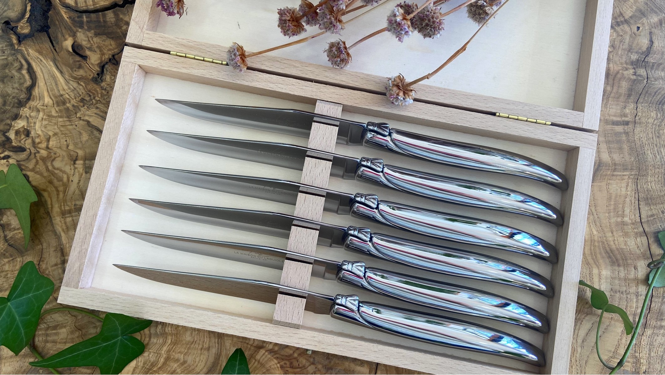 6 Couteaux de Table Laguiole en Aubrac tout inox Brillant