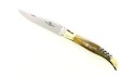 Couteau Laguiole 12 cm - Corne d'Aubrac - laiton  - Tire-Bouchon