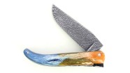 Laguiole Chasse - Os teinté - Damas