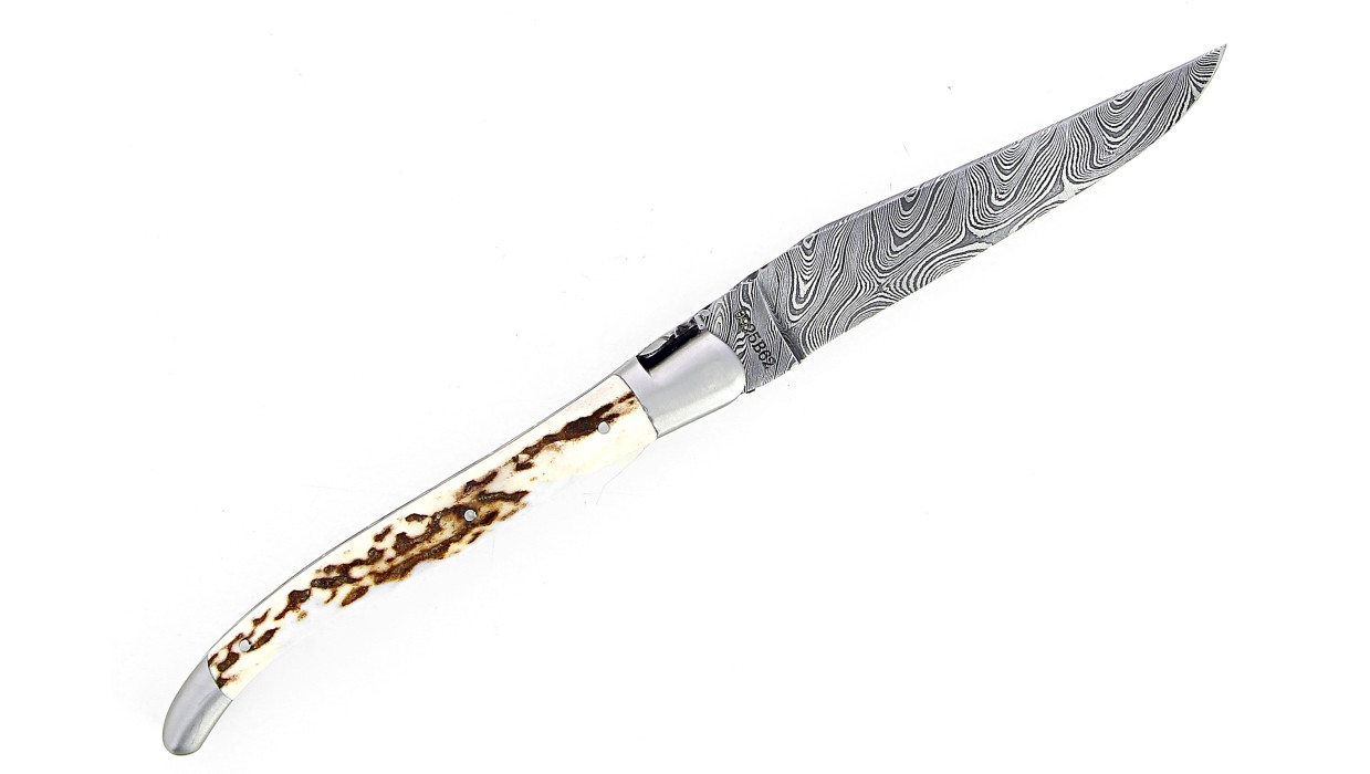 Couteau Laguiole 13 cm mitres inox brossé, double platine en bois de cerf , lame damas