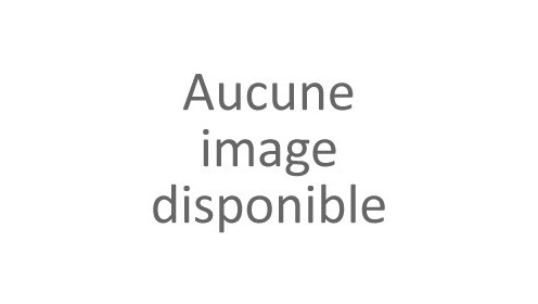 Laguiole double platine 12 cm - Corne d'Aubrac - inox - Tire-Bouchon